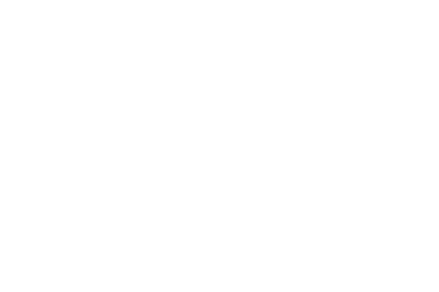 Logotipo blanco de consultoría d-studio