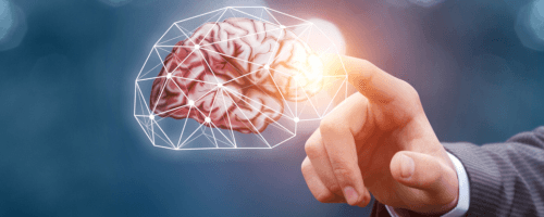 Your Navigation Kit - Myth-Free Mindset